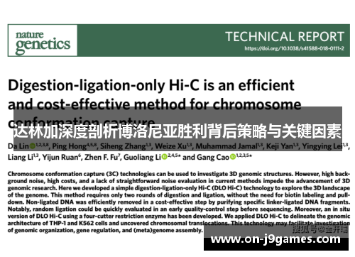 达林加深度剖析博洛尼亚胜利背后策略与关键因素